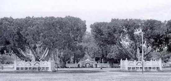 Alun Alun Kidul Yogyakarta tahun 1920